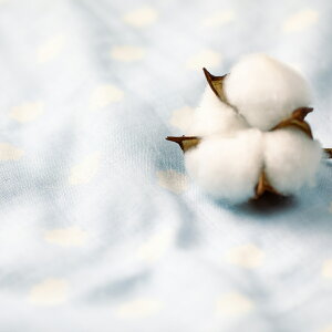 ySALEN[|zy󂠂iz Xh 100cmx110cm j̎q ̎q { K[[Pbg K[[^I 100 uPbg  Ԃ xr[ މ@ z  RpNg