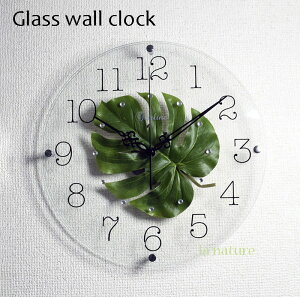 tFCNO[gȃKXǊ|v Xe SW-1186 MO k _ g rO