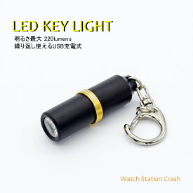 LED スモール キーライト USB充電式 Y1R わずか18g 明るさ最大 220ルーメン 頼りになるミニ LEDライト キーホルダー GENTOS ファスナーチャーム BAGの中に マイクロライト