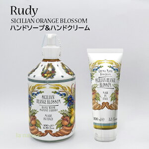 Rudy fB A} Lbh nh\[v 500ml & nhN[100ml V`AIWubT MtgZbg C^A 3093006 SET ȃ}JĂ fUC