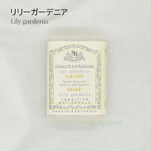 T^[EGE{[e t`NbVbN }Ch\[v tX ǍŌ`Ό ɗD₳ F TVF 蕨 v[g v`Mtg