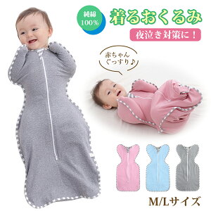 Xh   V MTCY LTCY xr[ Ԃ 킢 oYj  Rbg  鋃 [ 邨 _ut@Xi[