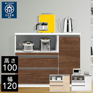 【開梱設置送料無料】 TS キッチンカウンター 幅120cm システムキッチン モイス 完成品 レンジ台 完成品 120幅 国産 大川家具 日本製 大型レンジ対応