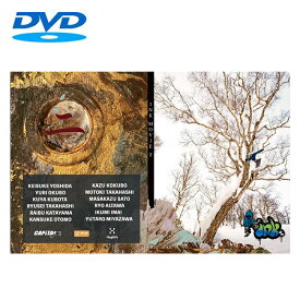 【ポイント10倍キャンペーン※要エントリー】INK MOVIE 2 DVD スノーボード スノボー 國母和宏