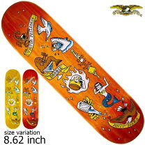 楽天市場】antihero デッキ 8．5の通販