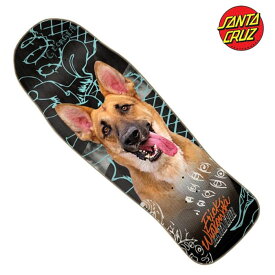 【ワンダフルデー限定!11%OFF★クーポン配布中♪】SANTA CRUZ WINKOWSKI TRIBUTE 10.34inch スケボー スケート ボード デッキ サンタクルーズ ストリート sk8 skateboard