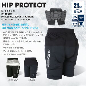 【期間限定!店内全商品ポイント10倍!※要エントリー】24-25 eb's スノーボード ヒッププロテクト ショートタイプ HIP PROTECT お尻パッド エビス 予約商品