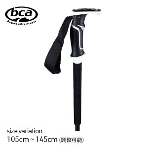 BCA SCEPTER CARBON ALUMINUM BLACK |[ XgbN Xvbg{[h nCLO Xm[{[h Xm{[ obNJg[