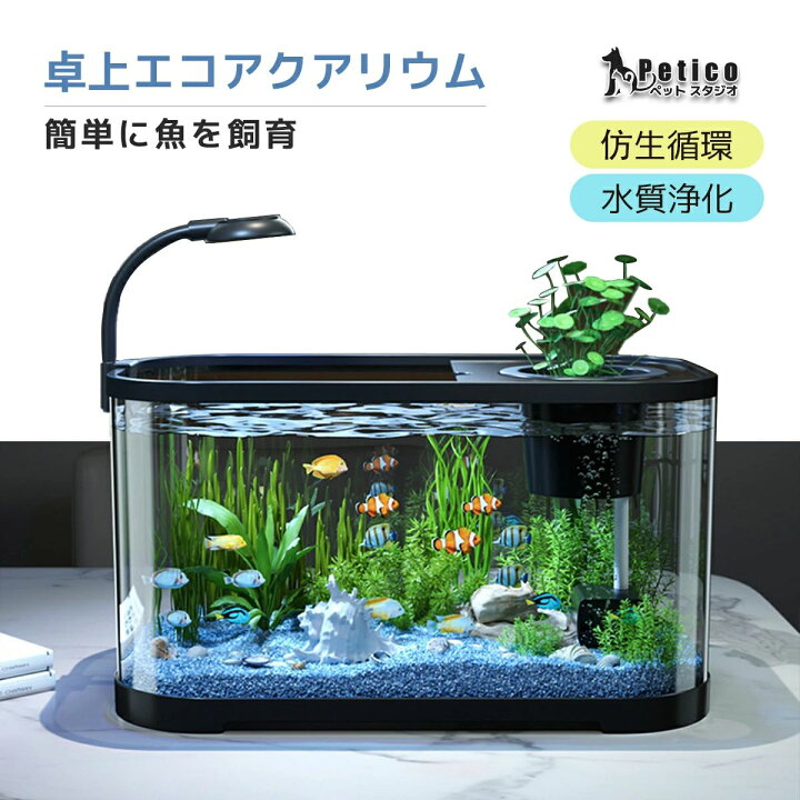 楽天市場】メダカ水槽セット おしゃれ 卓上 アクアポニクス 観葉植物 