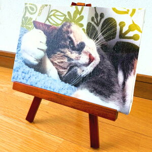 ʐ^@LoXvgyC[[Ȃ^Cvz@@ʐ^@@v[g@I[_[Ch@IWi@LoX@tHgvg@a@̓@̓