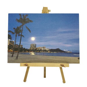 ʐ^@LOi@ʐ^pl@LoX{[hvgyC[[t^Cvz@IWi@tHgvg@I[_[Ch@̓@̓̃v[gɁ@EGJ{[hɁ@