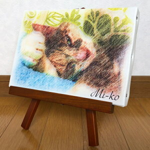 G敗LoXvgyC[[Ȃ^Cvz@@ʐ^@@v[g@I[_[Ch@IWi@LoX@tHgvg@a@̓@̓@E