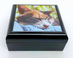 ʐ^ōyӃP[XzI[_[Ch@a@v[g@IWi@tHgvg@̓Mtg@̓Mtg@LO̎vo@IWiLOi@@ybg@q