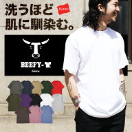 Hanes ヘインズ Tシャツ メンズ ビッグシルエット オーバーサイズ アパレル 6.1オンス ヘビーウェイト ビ…