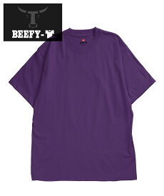 Hanes ヘインズ Tシャツ メンズ BEEFY ビーフィー 半袖 まとめ買い 2枚 3枚 セット 綿100％ コットン レディース ユニセックス ヘビーオンス 無地 ブランド 男性 紳士 プレゼント プチギフト 父の日 誕生日プレゼント 彼氏 父 息子 ギフト 記念日