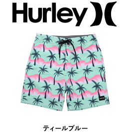 Hurley ハーレー サーフパンツ メンズ 水着 ツルツル 水着 ボードショーツ 海水パンツ 海パン 水陸両用 フラワー 迷彩 カモフラ ブランド 男性 プレゼント 誕生日プレゼント 父 ショートパンツ ハーフパンツ 半パン 短パン ショーツ 【メール便】