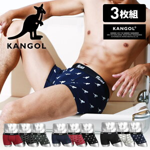 【3枚組セット】Plainメンズボクサーパンツ商品画像