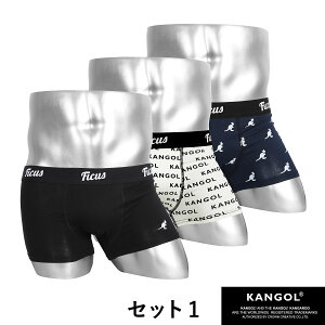 【3枚組セット】Plainメンズボクサーパンツ商品画像