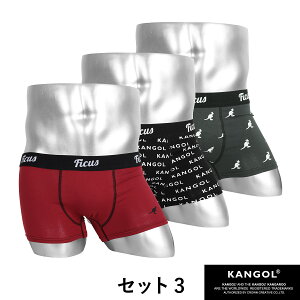 【3枚組セット】Plainメンズボクサーパンツ商品画像