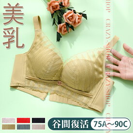 全品P10倍☆お買い物マラソン】ブラジャー 胸を大きく見せる 谷間復活ブラジャー 補正ブラ 下着女性 背中綺麗 盛り 谷間 24時間美胸美背 ノンワイヤー ゼロ束縛 20代 30代 40代 ブラジャー単品 補正下着 無痕 脇肉 脇高 締付け感なし かわいい 通気 運動 4色選択 プレゼント