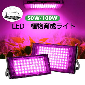 ySiP10{}\zA琬Cg LED A琬 ϗtA 100WA琬 琬Cg A Cg ͔| ledCg gFn [z ~ ƕs ȃGl@@100W