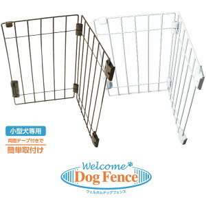 EFJhbOtFX PG6055 36.4cm×s7.2cm×55.8cmyuE zCg ^p hAptFX ȒPt   яoh~ Eh~ Nh~ ^JYƁz