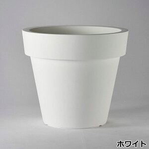 yfՁz[3 CR80 ER-2541 a80cm×71cmyAv^[  A O  z