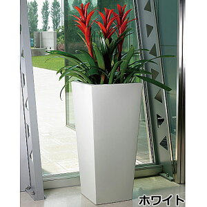 yfՁz[3 LA35 ER-2499 35cm×s35cm×75cmyAv^[  A O  z