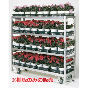 yIvVz؉׃J[SKC-01SpI(Xe[2{t)y  ^  J[S W ԙ ItBX Ɩpz