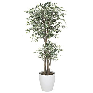 gsJxW~ 1.6 166K480 W70×D70×H160cmy2024N lHϗtA ̊y  tFCN rO  A[gt[ CeAO[z