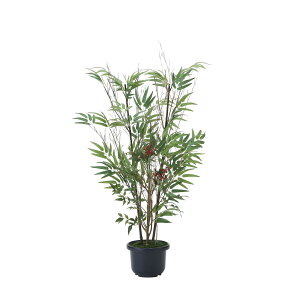 |V1.0 2011A150 W55×D45×H100cmy2024N lHϗtA ̊y  tFCN rO  A[gt[ CeAO[z