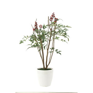 V70 2012K80 W45×D35×H70cmy2024N lHϗtA ̊y  tFCN rO  A[gt[ CeAO[z