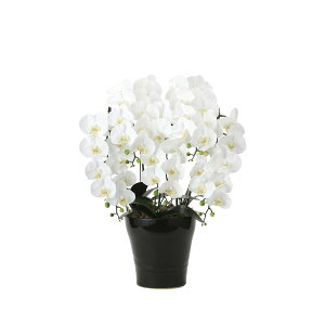 tbVӒ5{W 2044A200 W53×D45×H72cmy2024N lHϗtA ̊y  tFCN rO  A[gt[ CeAO[z