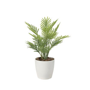 tbVp[ 2217A50 W32×D32×H48cmy2024N lHϗtA ̊y  tFCN rO  A[gt[ CeAO[z