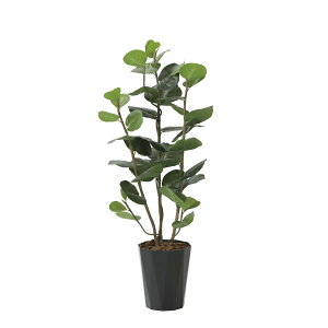 V[O[vDX1.25 2243A240 W45×D45×H125cmy2024N lHϗtA ̊y  tFCN rO  A[gt[ CeAO[z