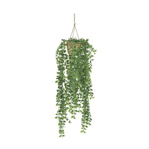 eB[OXnK[(|) 2246A45 W20×D20×H75cmy2024N lHϗtA ̊y  tFCN rO  A[gt[ CeAO[z