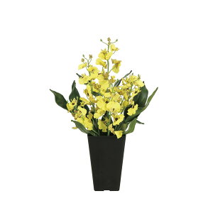 IVW[ 2261A50 W27×D18×H40cmy2024N lHϗtA ̊y  tFCN rO  A[gt[ CeAO[z