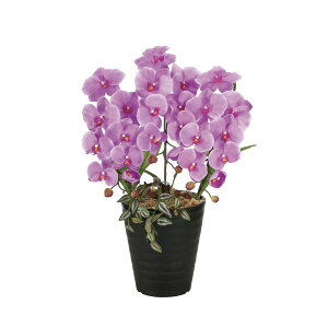 vZXӒL 2265K60 W38×D30×H58cmy2024N lHϗtA ̊y  tFCN rO  A[gt[ CeAO[z