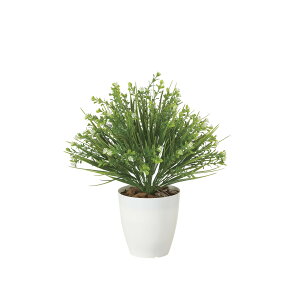 ~bNXOX(|) 2269A55 W30×D30×H42cmy2024N lHϗtA ̊y  tFCN rO  A[gt[ CeAO[z