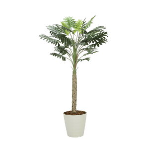 Z[1.8 2312A300 W80×D80×H180cmy2024N lHϗtA ̊y  tFCN rO  A[gt[ CeAO[z