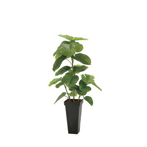 tbVDXXEx[^1.2 2326A300 W50×D50×H120cmy2024N lHϗtA ̊y  tFCN rO  A[gt[ CeAO[z