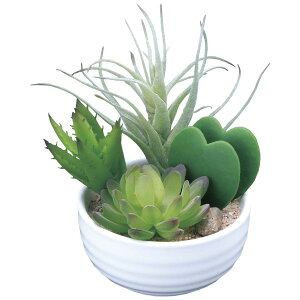 񂹐Au?(|) 232A40 W14×D17×H15cmy2024N lHϗtA ̊y  tFCN rO  A[gt[ CeAO[z