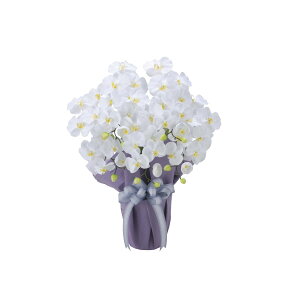 Ӓ  2464A80 W50×D35×H64cmy2024N lHϗtA ̊y  tFCN rO  A[gt[ CeAO[z