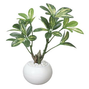 VFt|bg 246A30 W22×D20×H23cmy2024N lHϗtA ̊y  tFCN rO  A[gt[ CeAO[z