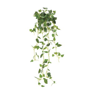 Ǌ|tB 2489A45 W23×D18×H68cmy2024N lHϗtA ̊y  tFCN rO  A[gt[ CeAO[z