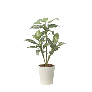 fBtFoLA90 2491A100 W50×D50×H90cmy2024N lHϗtA ̊y  tFCN rO  A[gt[ CeAO[z