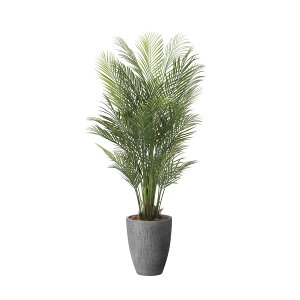 i`AJp[1.75 2500A730 W70×D70×H175cmy2024N lHϗtA ̊y  tFCN rO  A[gt[ CeAO[z