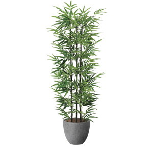 i`|1.6 2504A420 W70×D65×H160cmy2024N lHϗtA ̊y  tFCN rO  A[gt[ CeAO[z