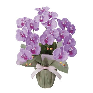 ~fBӒL 26K40 W32×D35×H50cmy2024N lHϗtA ̊y  tFCN rO  A[gt[ CeAO[z