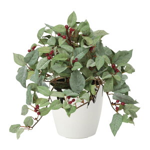 t[(tbNH) 388G40 W30×D30×H25cmy2024N lHϗtA ̊y  tFCN rO  A[gt[ CeAO[z